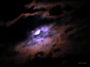 月に群雲